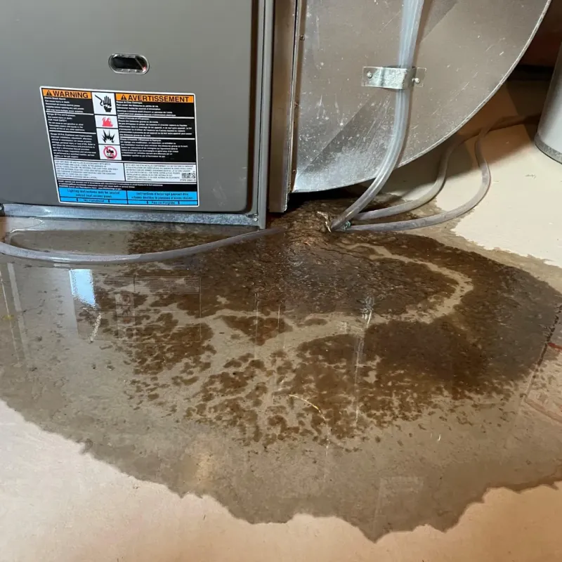 Appliance Leak Cleanup in Winterville, NC